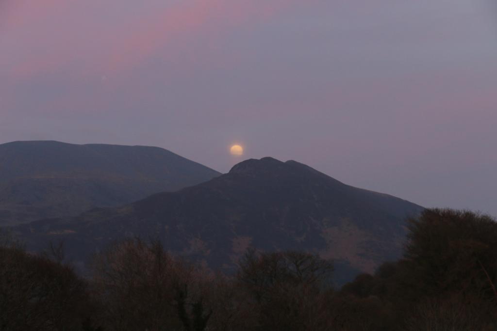 Link House Hotel Bassenthwaite Lake Exterior foto